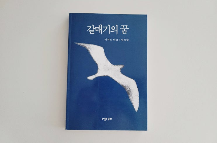 리처드 바크 [갈매기의 꿈] 줄거리 및 응원이 되는 책 글귀 (ft. 필사하기 좋은 글 추천)