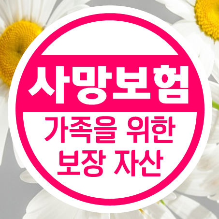  사망정기보험 추천 상해 재해 질병 일반 사망보험가입 무엇이든 가능해요.