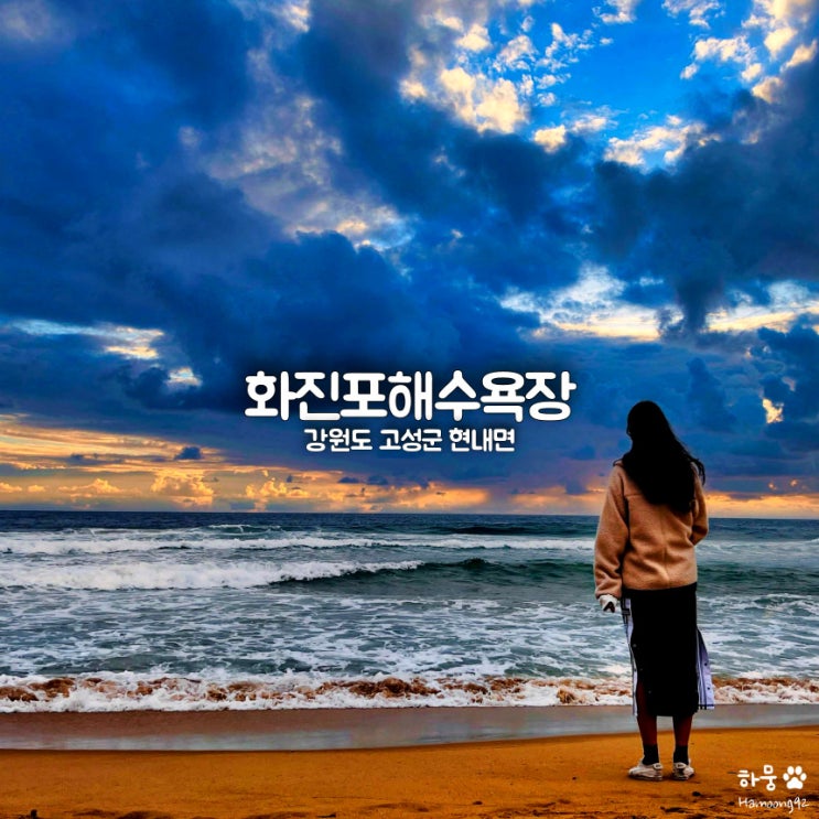  강원도 고성 화진포해수욕장 투망낚시 포토존 자전거대여 서핑