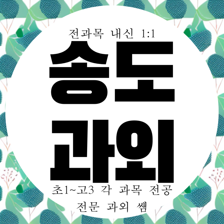  인천 송도포스코 고등 수학과외 송도 중학생 국어 과학 영어과외