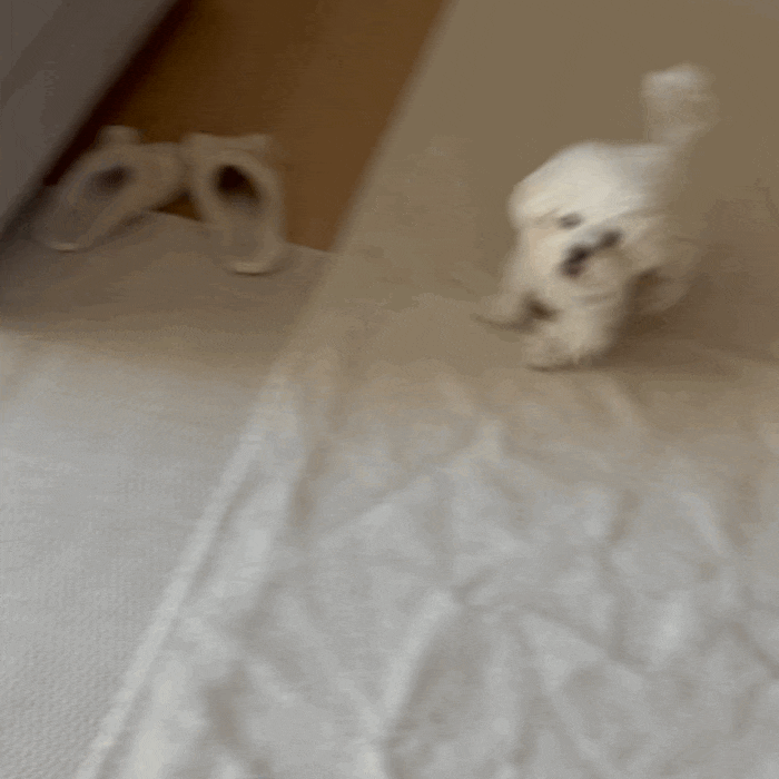  솔찬공원 / 케이슨24 / 석양이 예술인 공원 / 산책 추천