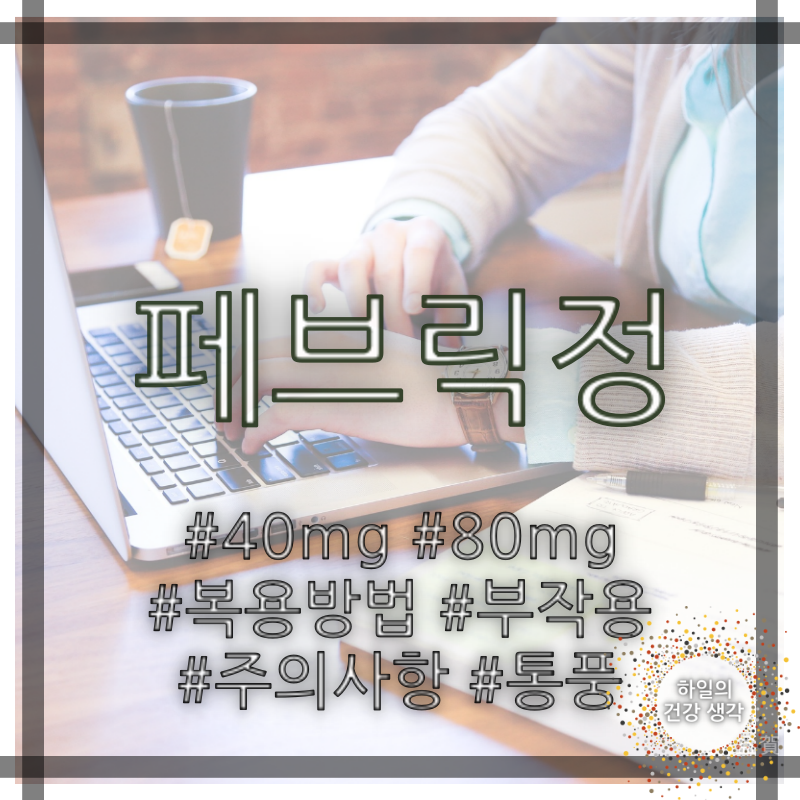 페브릭정 40mg 80mg 부작용 성분 복용법