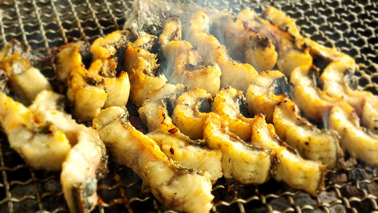  천안 용곡동 내주변맛집 근처맛집 내돈내산 장어 전문점 '싱싱 장어' 가족 회사 외식 회식장소 데이트 명소 NO.626 민물장어 소금구이 with 돼지갈비