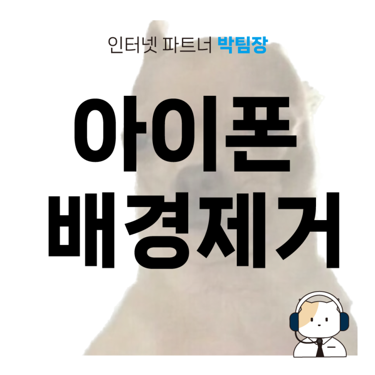  아이폰 배경 제거 기능 제대로 활용하기