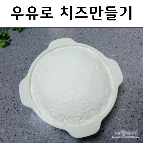 리코타치즈 만들기 남은 우유로 치즈만들기 유청 활용법