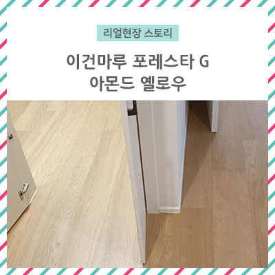  [리얼 현장 스토리]이건마루 포레스타G 아몬드옐로우 시공현장