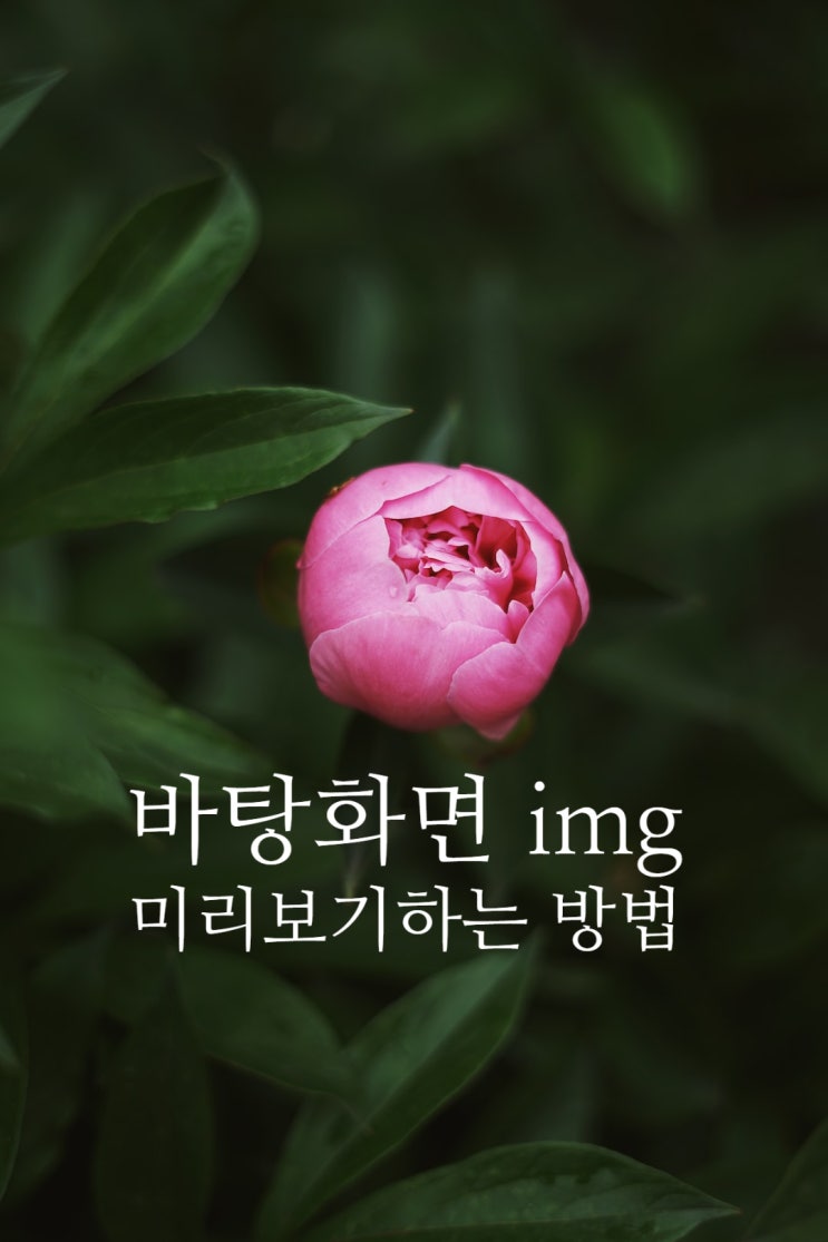  바탕화면 이미지 파일 미리보기 하는 법
