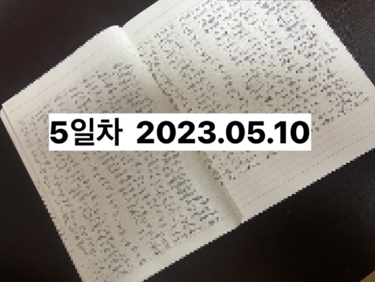  #5 _꿈자도 한다 100일노트 