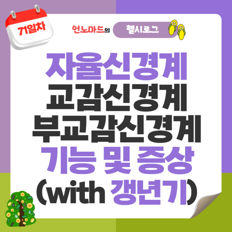  71일차, 자율신경계인 교감신경계, 부교감신경계의 기능 및 증상(with 갱년기)