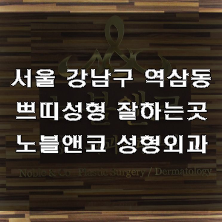  서울 강남구 역삼동 쁘띠성형 잘하는 곳, 노블앤코성형외과, 피부과 의원 (feat : 쁘띠성형 유명한 곳)