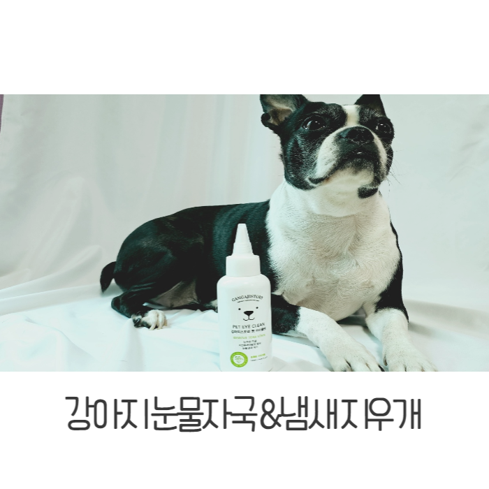  폭발한 강아지눈물 모닝 세수용으로 눈물자국지우개 씁니다