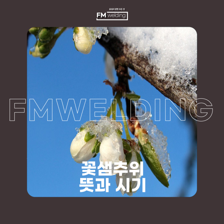  꽃샘추위 시기 자세히 알아보세요!