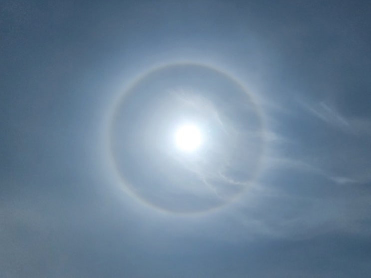  주간일기 42번째