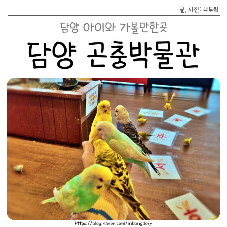  아이와 1박2일 여행코스 담양곤충박물관 메타세콰이어랜드