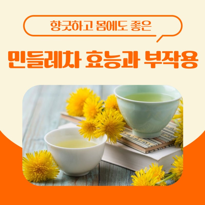 @ 카페인 없는 커피 추천, 단델리안 커피 민들레 발효커피 차야커피&귤피차 효능