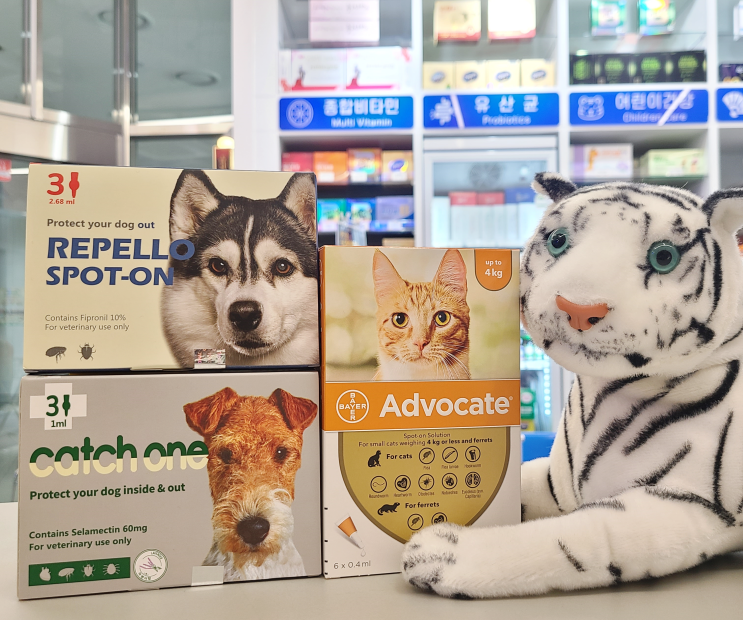  강아지·고양이 심장사상충약 사는법(바르는형) - 바르는심장사상충약, 애드보킷,캐치원,리펠로스팟온