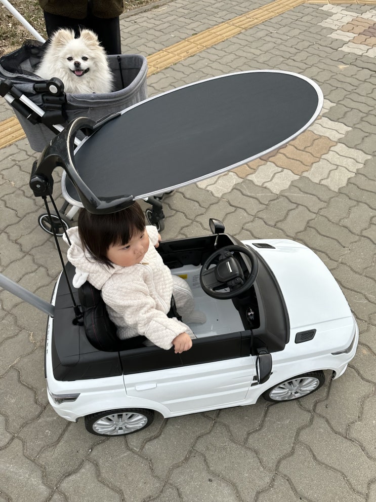 아빠도 못산 레인지로버 이보크 전동푸쉬카 타는 요한이 아빠도 못산 레인지로버 이보크 전동푸쉬카 타는 요한이