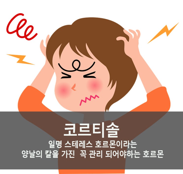 노르딕 워킹 운동으로 인한 신체 호르몬 변화을 통해 긍정적인 정서 유지  두 번째  코르티솔 호르몬