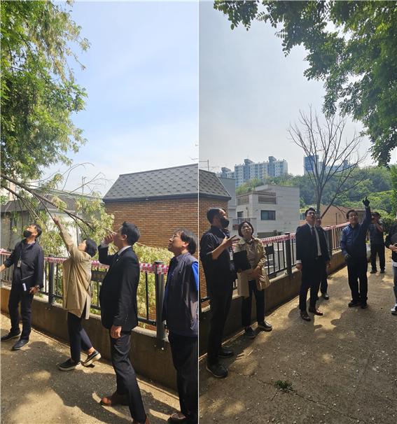 이희원 서울시의원, 동작초 학교시설 점검 통해 위험 수목 제거 긴급 요청