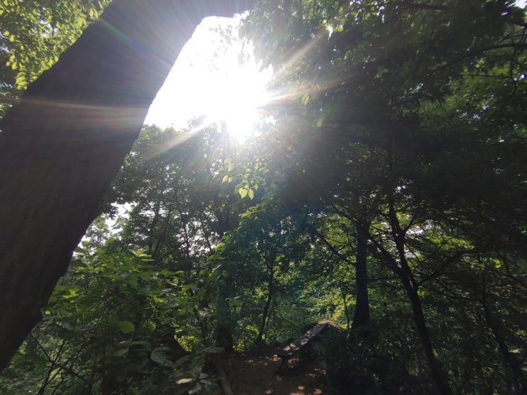 오늘아침, 설봉산의 햇살들 오늘아침, 설봉산의 햇살들