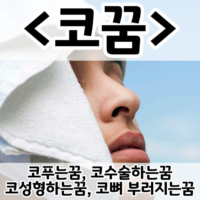 [쉬운 꿈해몽] 코꿈 :: 코푸는꿈, 코수술하는꿈, 코성형하는꿈, 코뼈 부러지는꿈