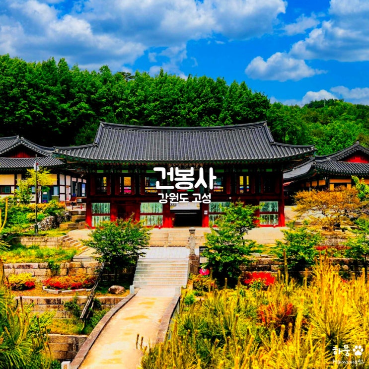  강원도 고성 금강산 건봉사, 적멸보궁 대웅전 템플스테이