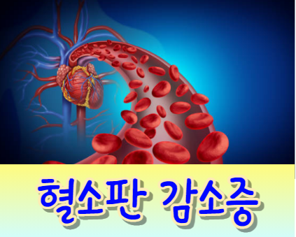 혈소판 감소증(Thrombocytopenia) 원인, 증상 및 치료 방법에 대한 이해