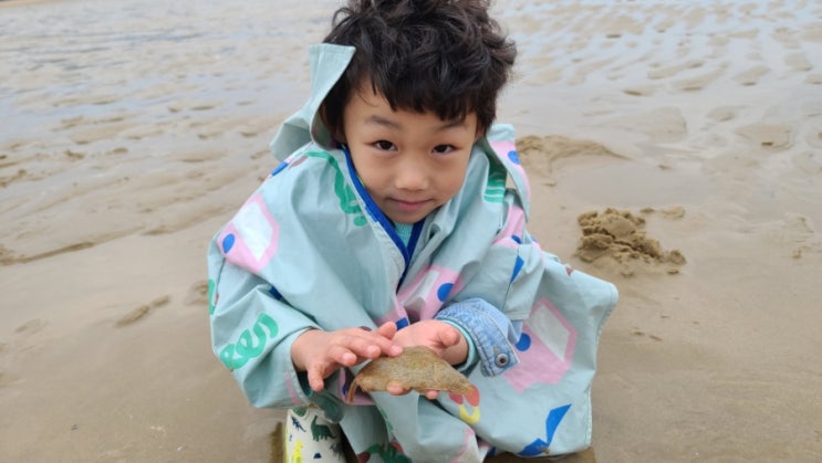  만리포 해수욕장 전망타워 갯벌체험장 태안 여행 아이와가볼만한곳 추천
