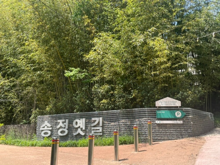  5월 2주 운동일기 헬스 3분할 헌혈 송정옛길 등산 테니스 결혼식 데이트