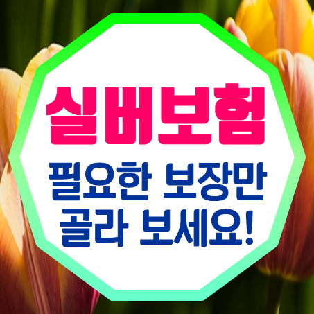  부모님실버보험 가격 노인을 위한 간편건강보험 추천 받으세요.