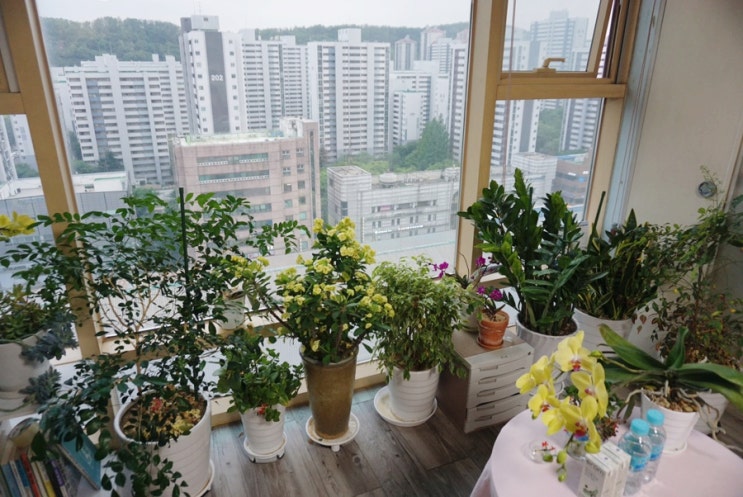  산본 임산부마사지 군포 튼튼모유육아상담에서 산후마사지 받고 왔어요