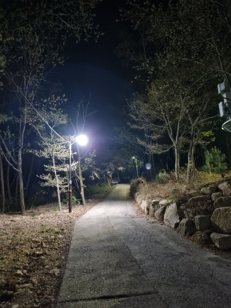 <b>경주토함산</b>자연휴양림 숙소 다녀온 찐후기