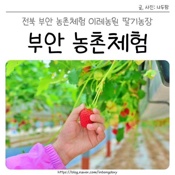  전북 부안여행코스, 6세 아이와 농촌체험 이레농원