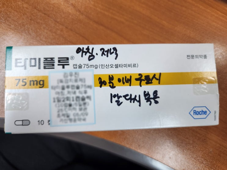  a형 독감 후기 (죽다살아남)