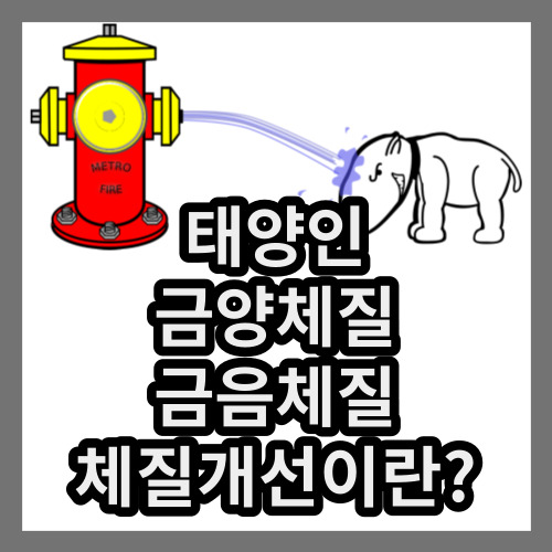  금양, 금음, 태양체질의 체질 개선