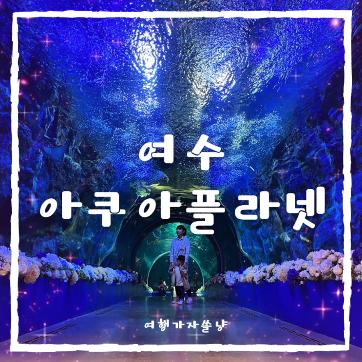  여수 여행 실내 아이와 가볼만한곳 아쿠아플라넷 주차 티켓 공연시간 아쿠아리움 관람팁