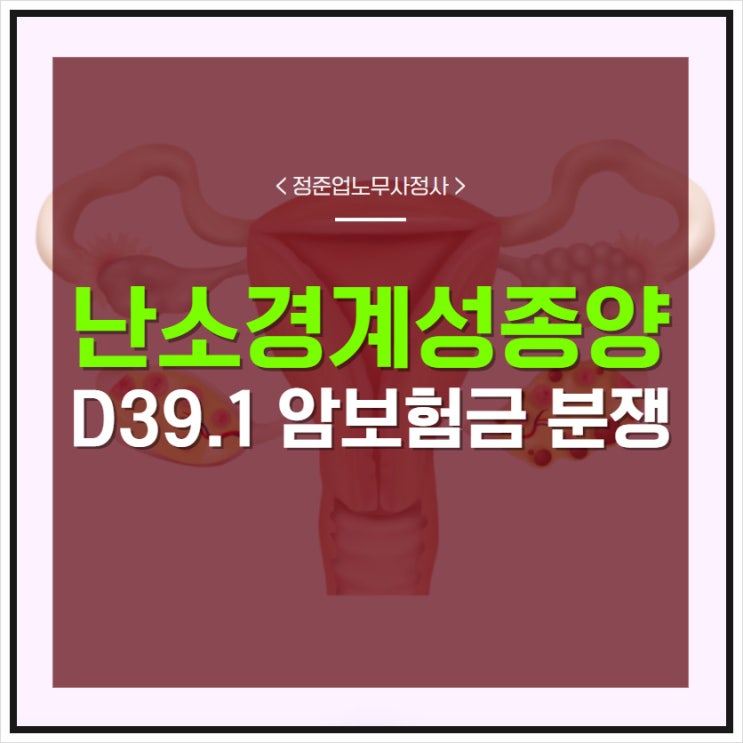  난소경계성종양 D39.1 암보험금 분쟁