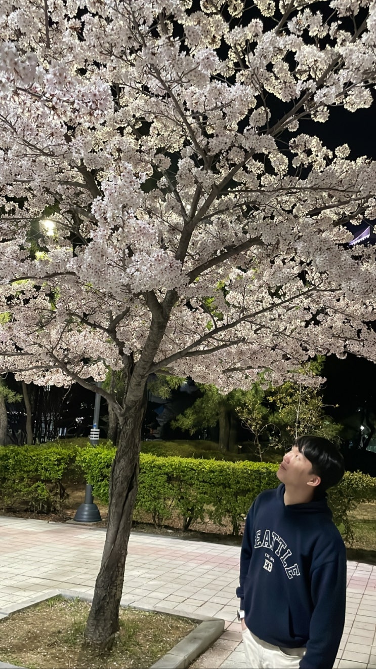  [4월의 일상 속 모험]