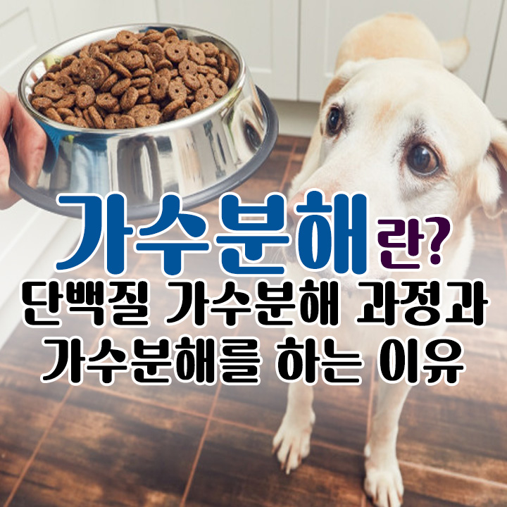  가수분해는 무엇일까요? 눈물자국, 알러지를 줄여주는 가수분해 하는 과정과 이유
