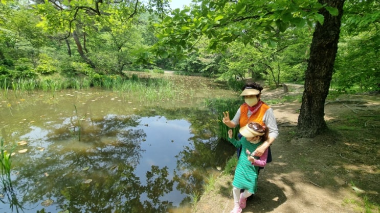 지금 내가 해야 할 일 하루 1시간씩 무조건 걷기