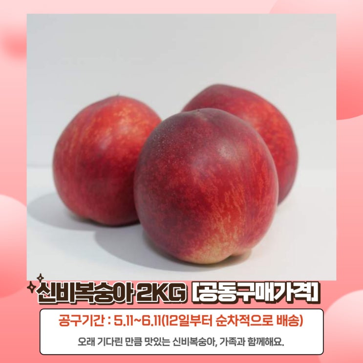  [공동구매]신비복숭아,노크팜 복숭아, 신선복숭아, 과일선물, 예약판매, 공동구매 가격