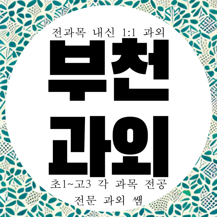  옥길지구 중학생 수학 영어과외 고등 소새울 국어과외 과학