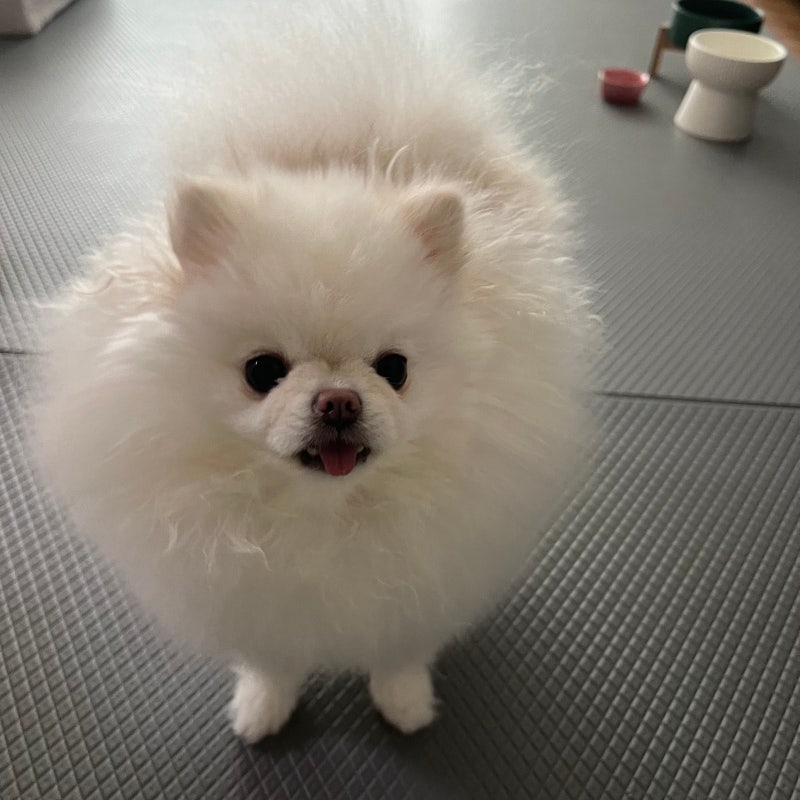 사진 9
