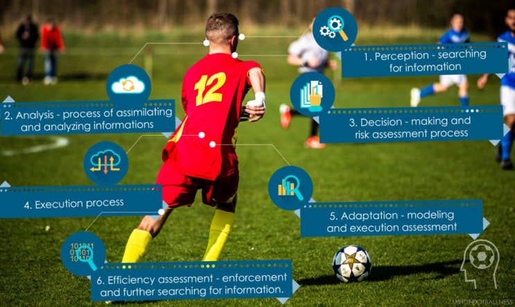 인지 능력이 축구 경기력을 좌우한다