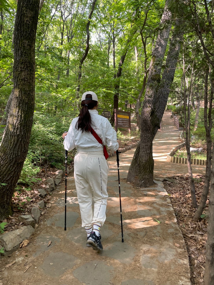  접이식 등산스틱 추천 마운티그로 사용 후기
