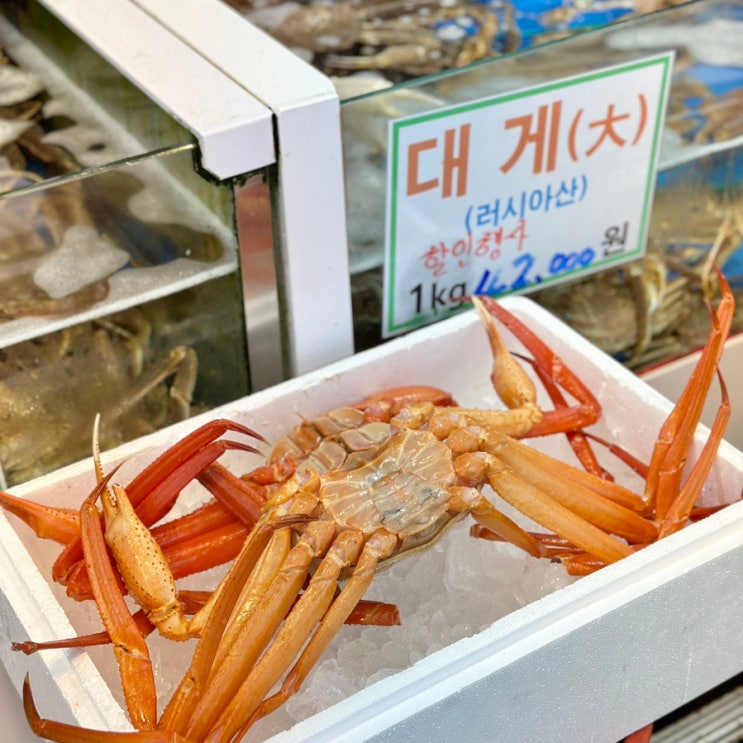  매천시장 대게 홍게 시세 가격 대구 수산물도매시장