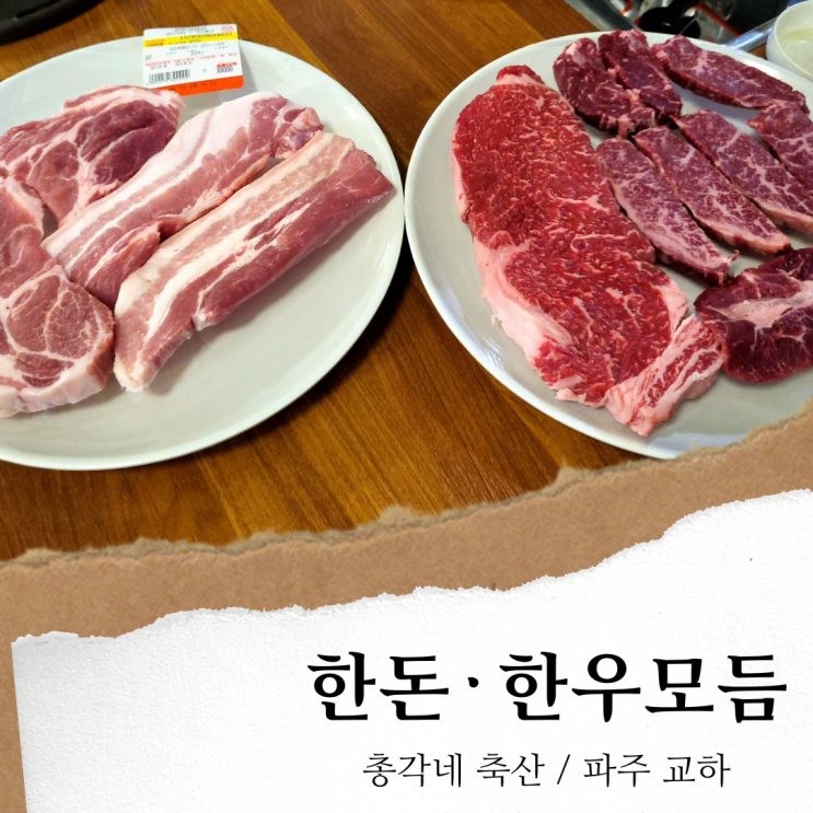  파주 총각네수산,축산; 교하 삼겹살 맛집 정육식당