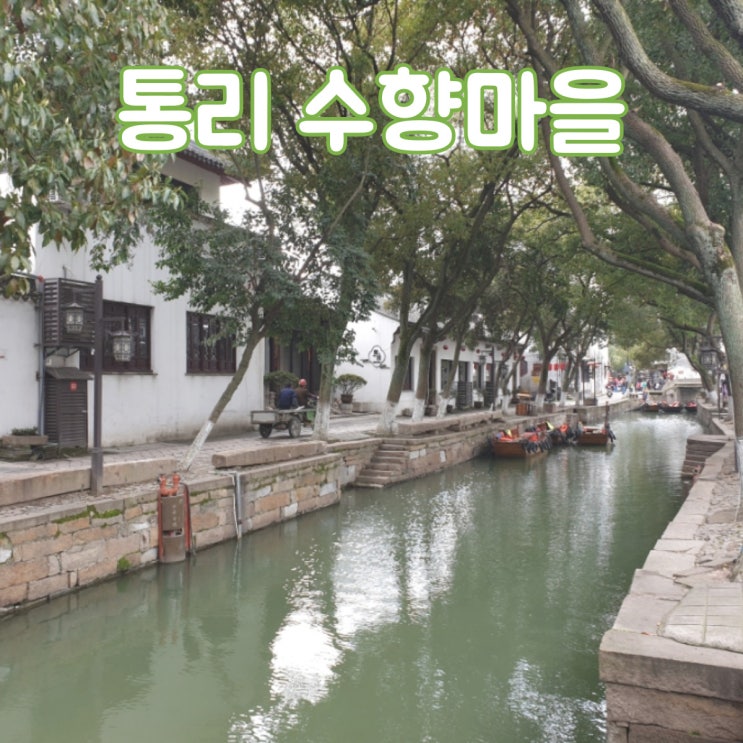  중국 상해 근교 여행 당일치기 쑤저우(소주) 물의 마을 [통리 수향마을]