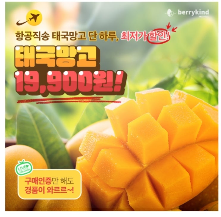  5월11일 태국망고 캐시워크 돈버는 퀴즈 정답