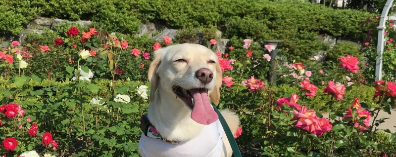 사진 3